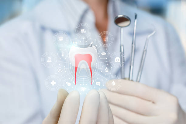 Best Dental Fillings (Composite and Amalgam)  in Cloquet, MN